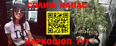 хмурый Донской