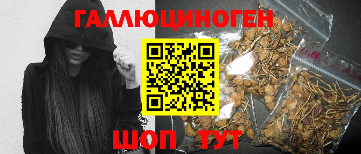 Галлюциногенные грибы Magic Shrooms  Вход с VPN  Галлюциногенные грибы мухоморы  Моздок 